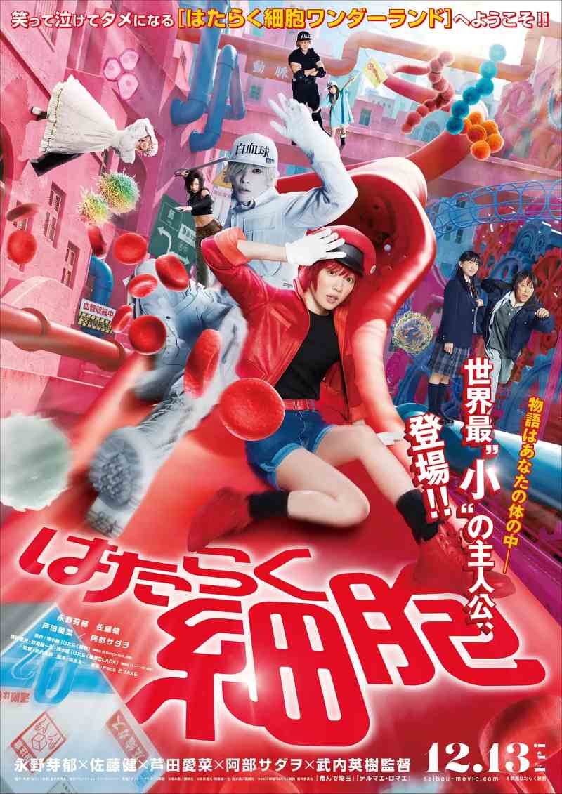 工作细胞