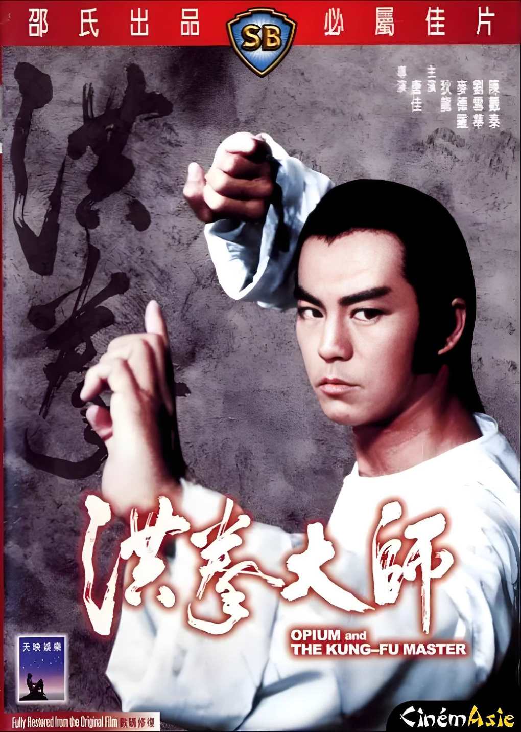 洪拳大师