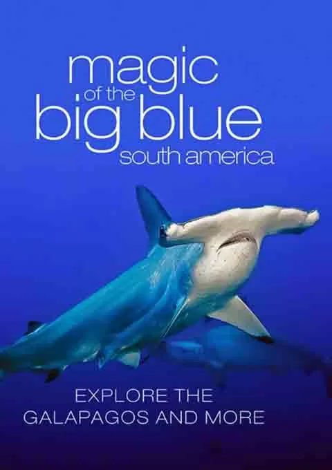 奇幻蔚蓝海