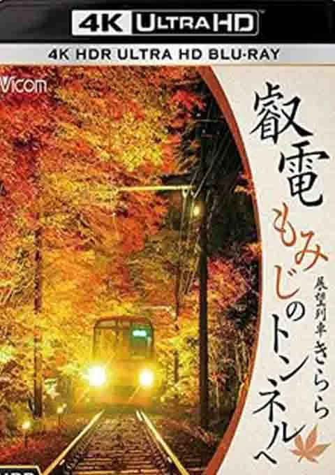 叡電展望列車