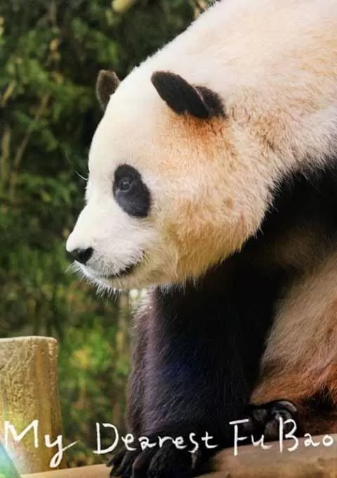 再见，福宝