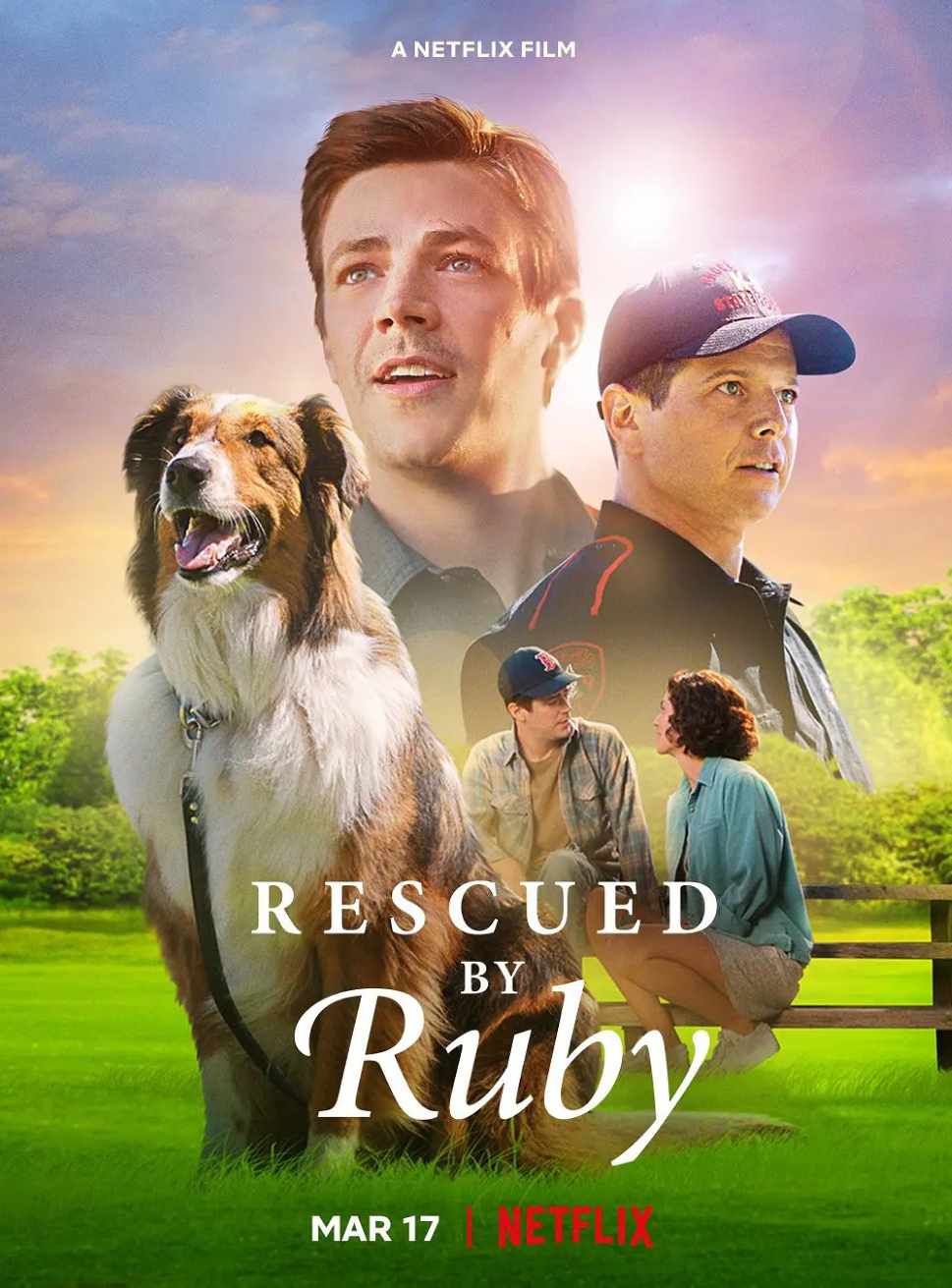 义犬救主