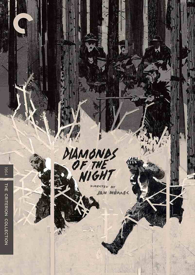 夜之钻