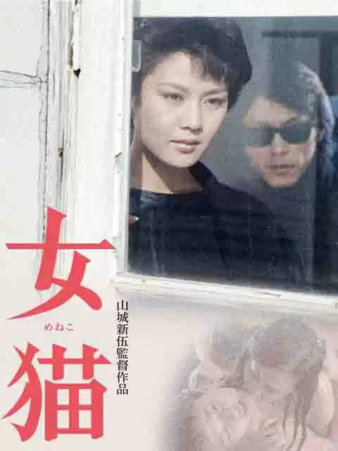 女猫